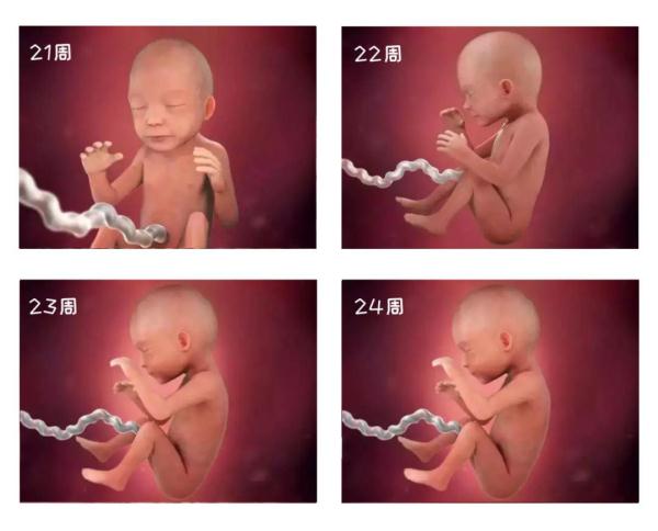 探索生命奥秘的导航图,探索生命的奥秘全彩图