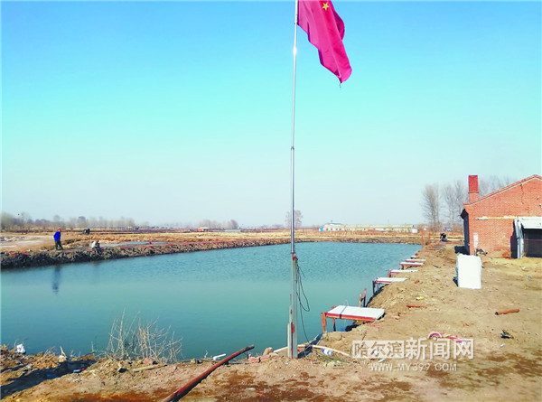 淡水鱼价为何低迷,淡水鱼批发价格行情