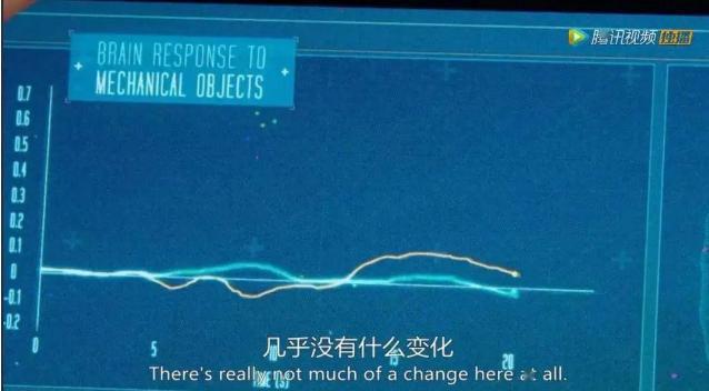 如何和孩子交流胆小怕事,家长如何帮孩子提高社交能力