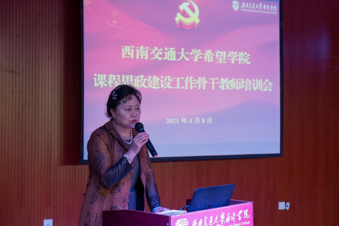 思政课教学能力提升专题研修班,高校思政教学培训