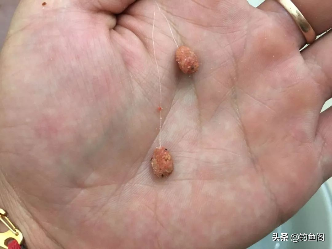 搓饵可以先拉饵再搓饵吗,先拉饵后搓饵还是先搓饵后拉饵