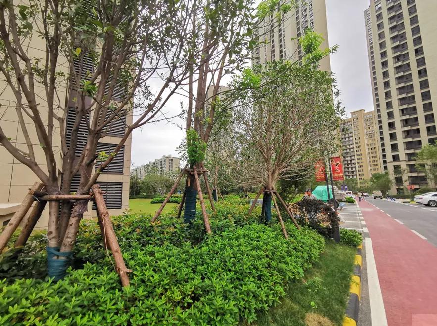 阜阳最新交付“红黑榜”！8大品质小区好评！4大新盘交付被投诉…