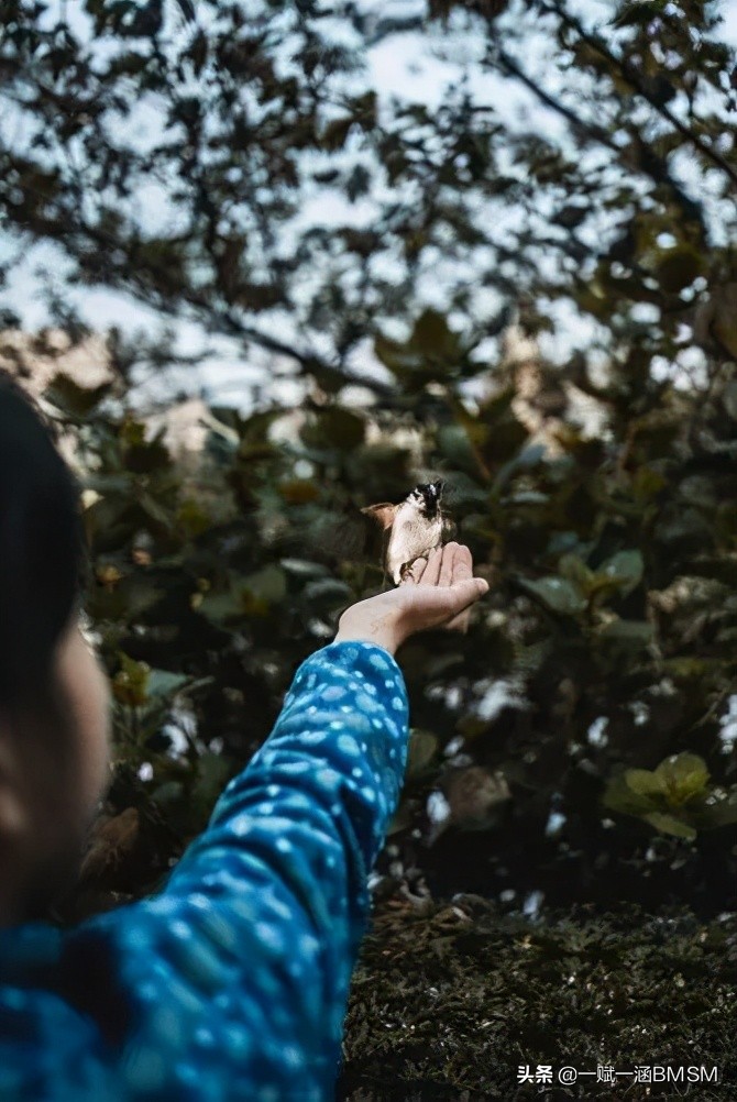 1岁的宝宝早教应该教什么,如何给一岁宝宝做早教