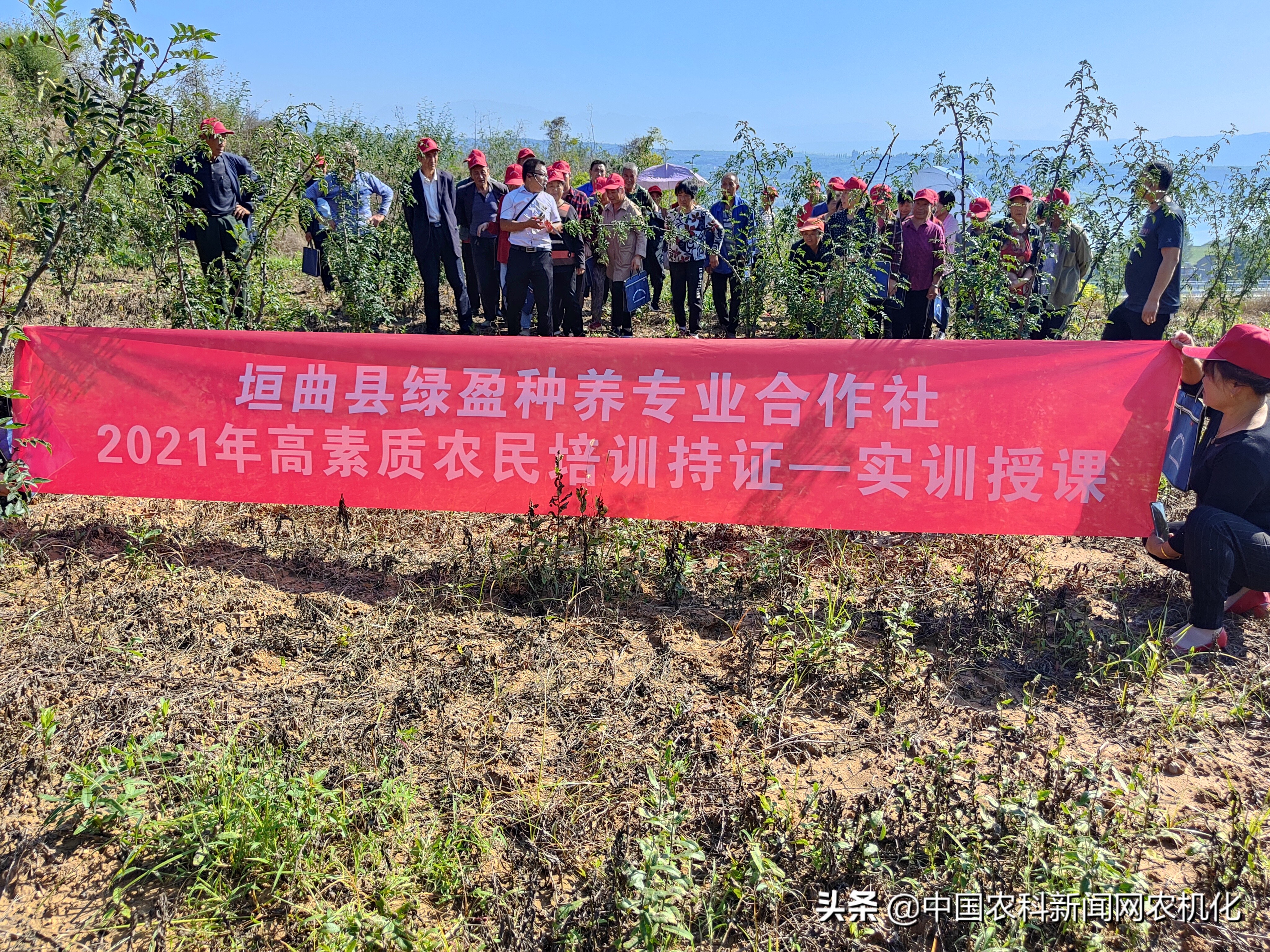 种植花椒的技术研究,致富经花椒种植新技术