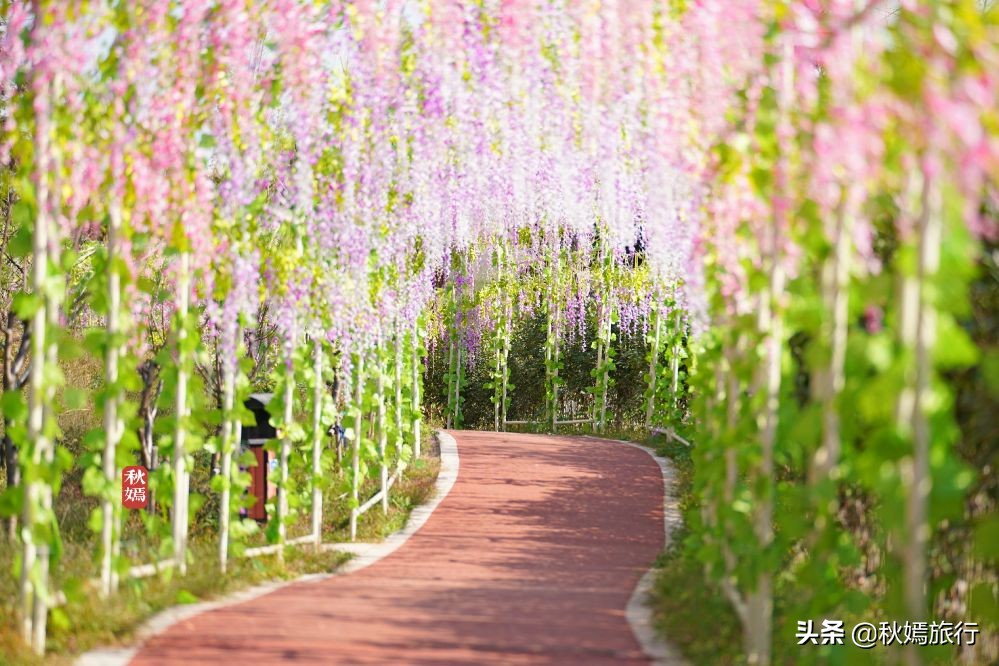 常熟海虞铜官山景区有什么,常熟海虞铜官山生态观光园