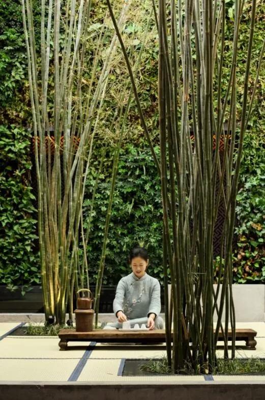 黄山徽州古城民宿,黄山黎阳in巷民宿