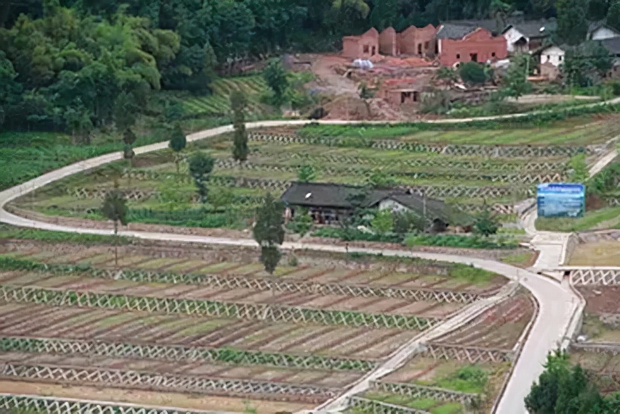 重庆29岁小伙娶53岁老妻,19岁女知青下乡嫁给农村小伙子