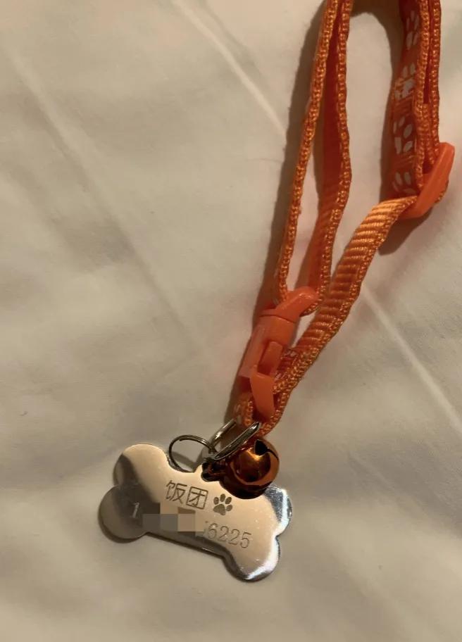 耐吉斯今年亚宠展上做了啥？挤都挤不进