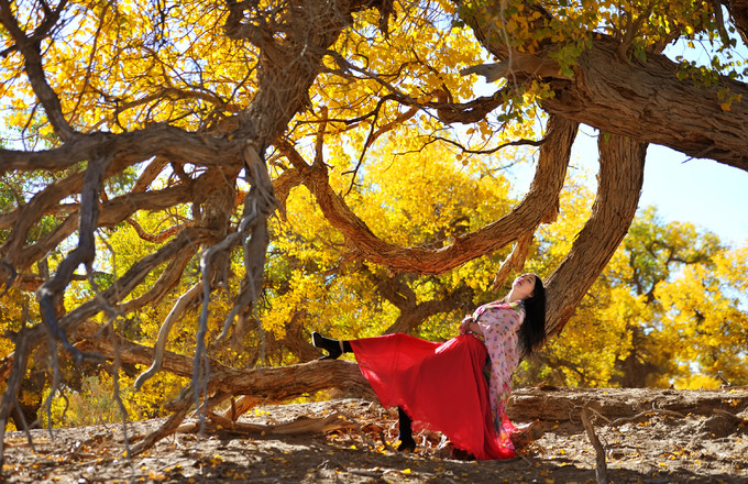 来内蒙古额济纳旗感受秋天,额济纳旗秋天最佳旅游时间