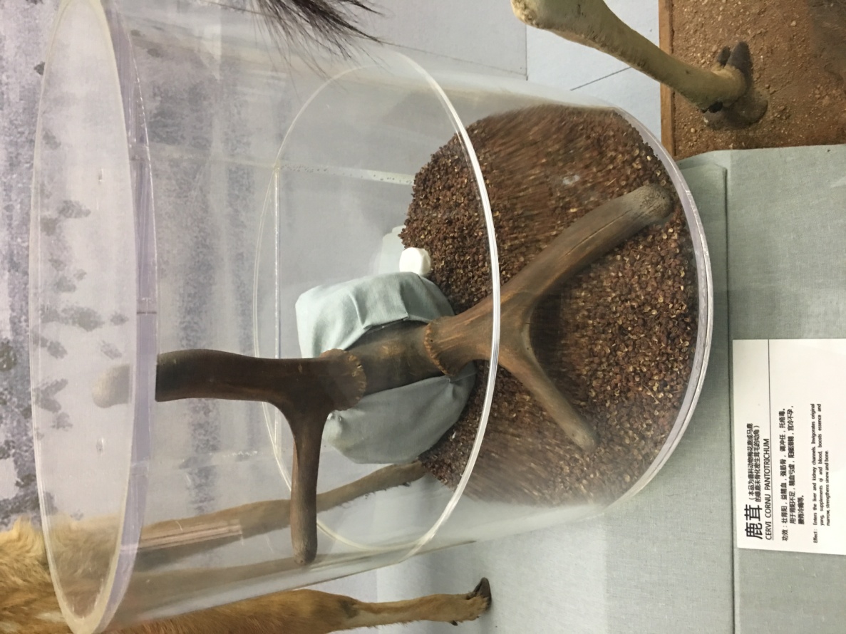 孙思邈的尸体之谜,药王孙思邈一些奇怪理论