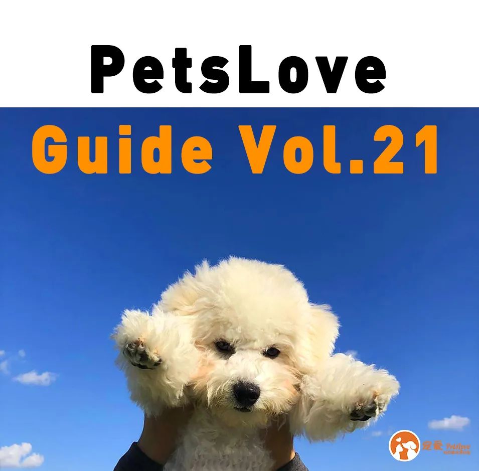 狗狗犬瘟半夜抽搐吐白沫怎么办,幼犬抽搐口吐白沫查不出犬瘟