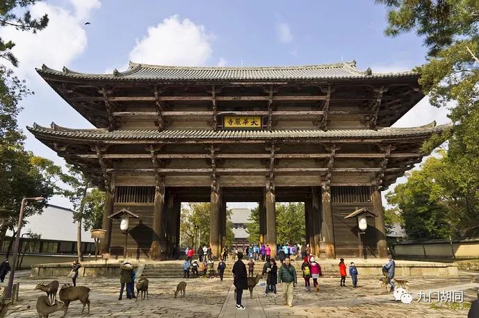 奈良世界文化遗产,东大寺世界遗产