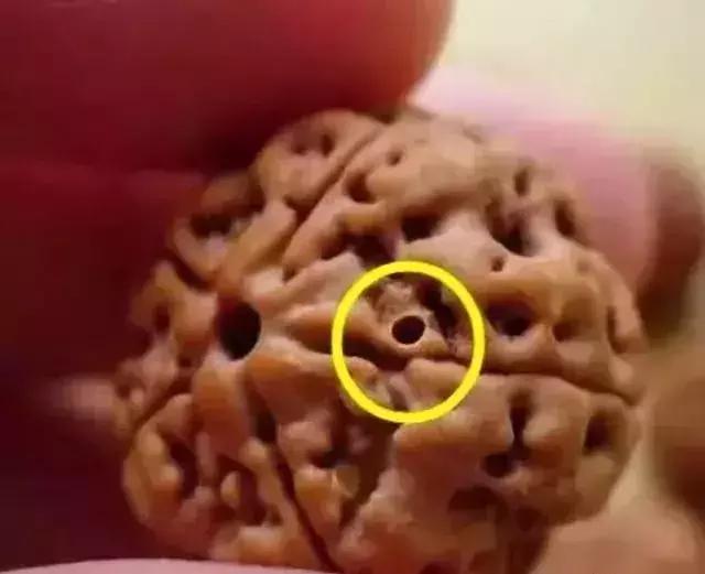 木质手串上的小虫子,手串里的小虫子