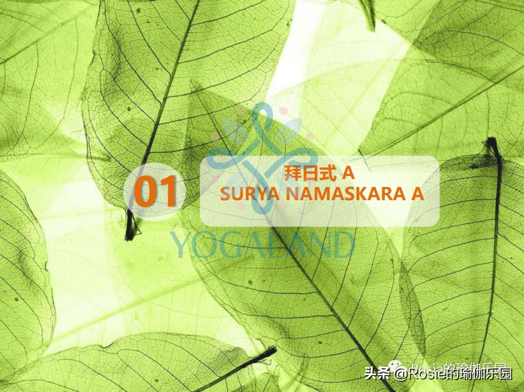 瑜伽小白如何在家自己练瑜伽,瑜伽零基础入门的基本体式有哪些