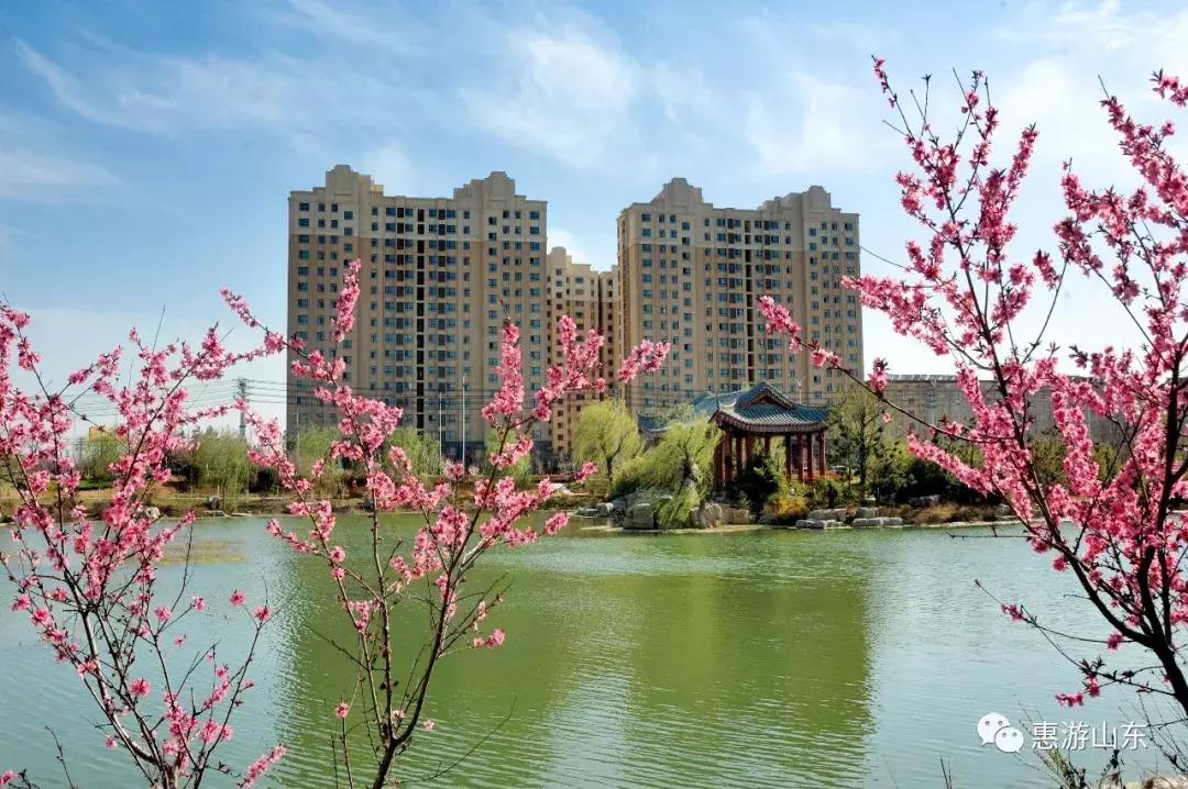 春到泉城之泉城公园,大美宁阳复圣公园