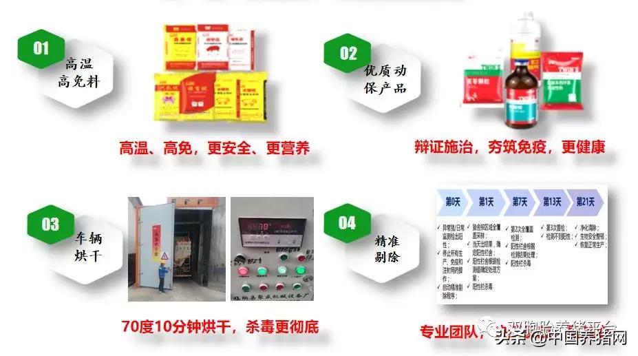 苗好、料好、服务好!全国养殖户都盯上了双胞胎的“公司+农户”