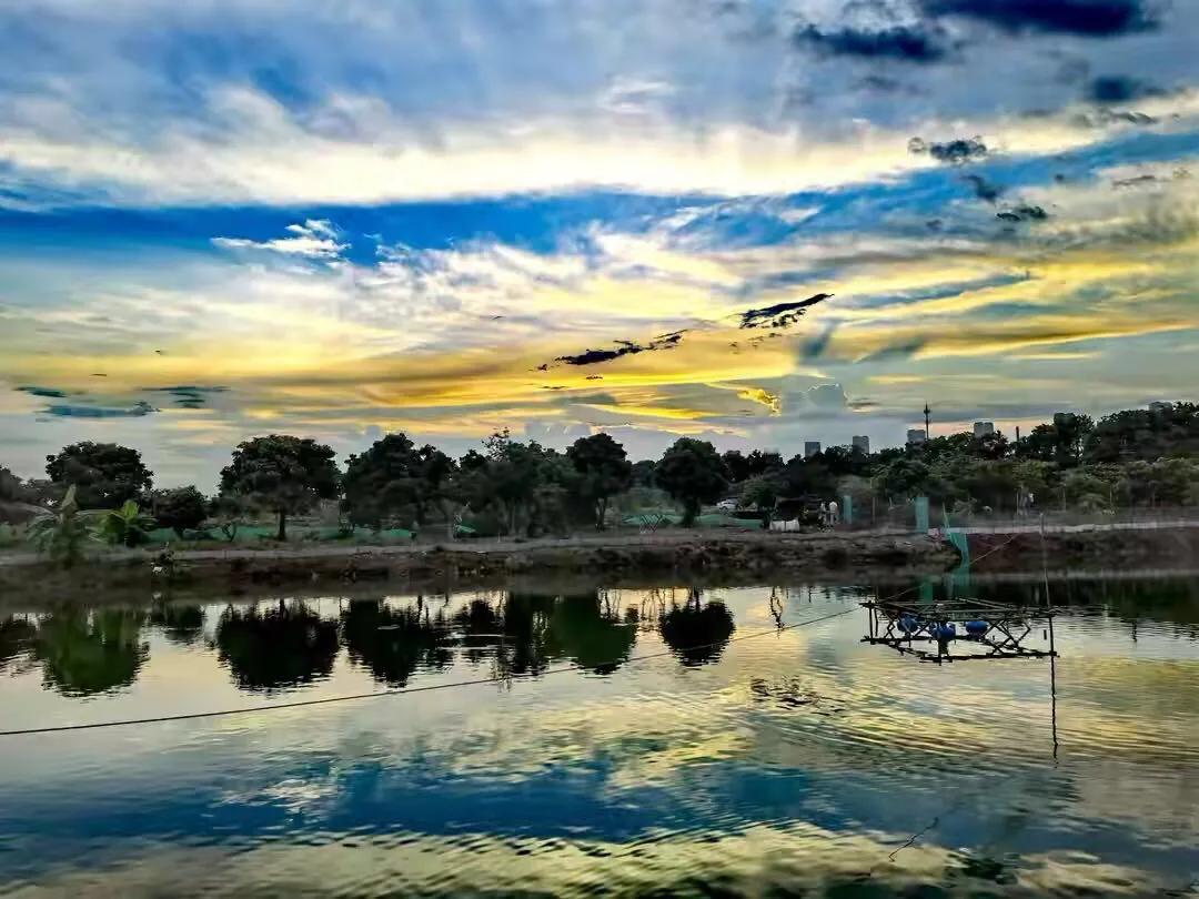 手拍世界-2021年09月各周最佳作品专集（总第716期）