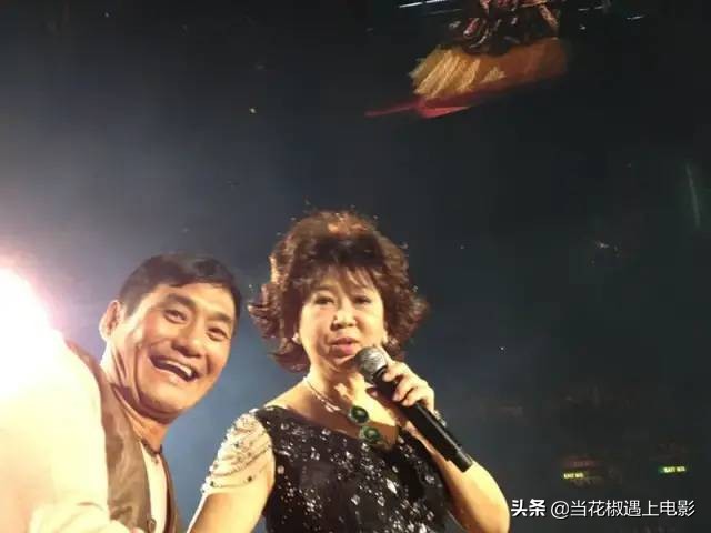 鳌拜王俊棠的儿子,王俊棠鳌拜