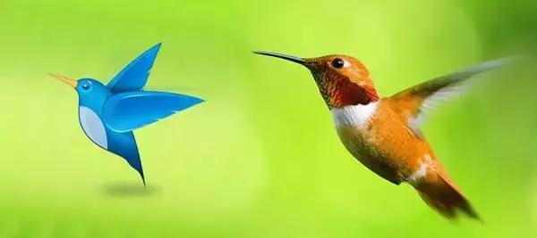 杩呴浄wifi,杩呴浄wifi杞欢