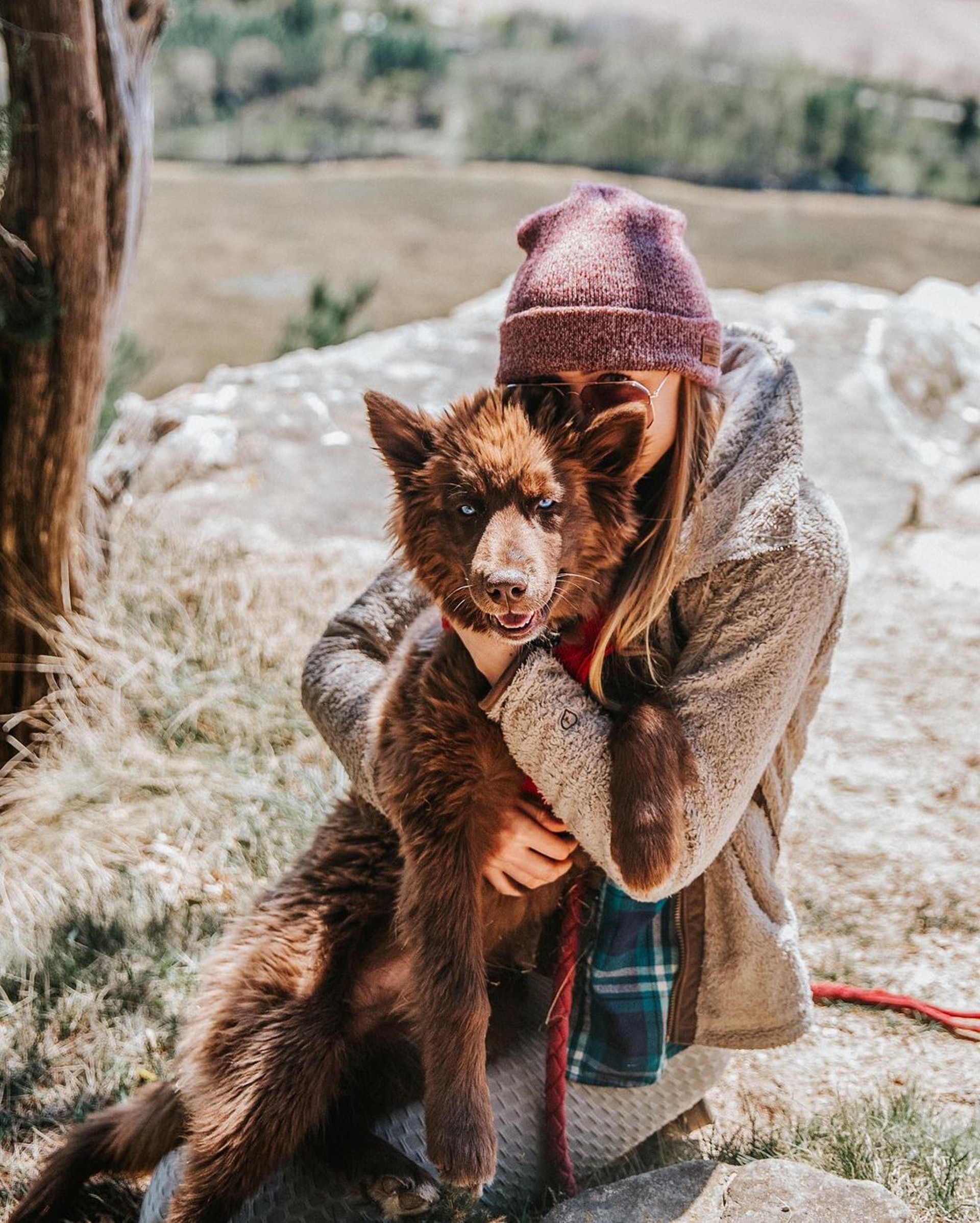 小时候像熊长大后像狼，主人说狗狗是热门犬种，但路人都猜不出