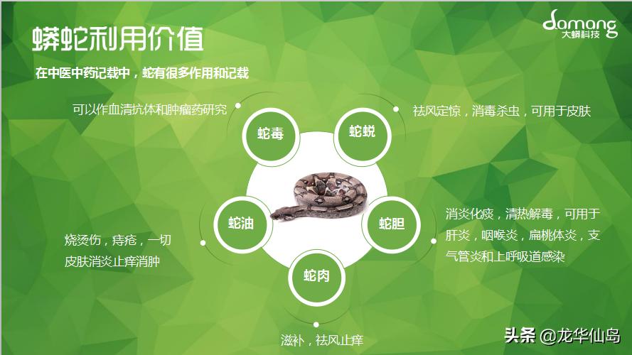 蟒蛇油使用案例与方法