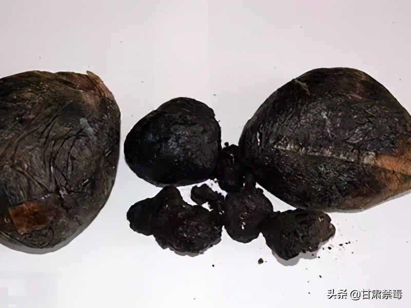 国际禁毒日不可以做什么,国际禁毒日违禁药品