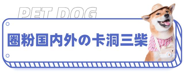 19.9包邮毛绒羊驼,羊驼9.9元秒杀直播