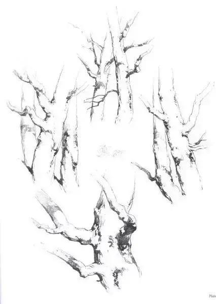 风景速写1000例临摹图高清,炭笔速写风景初学者图片教程