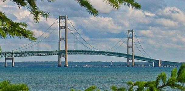 美国车牌为什么那么多图案,为什么有人取车牌