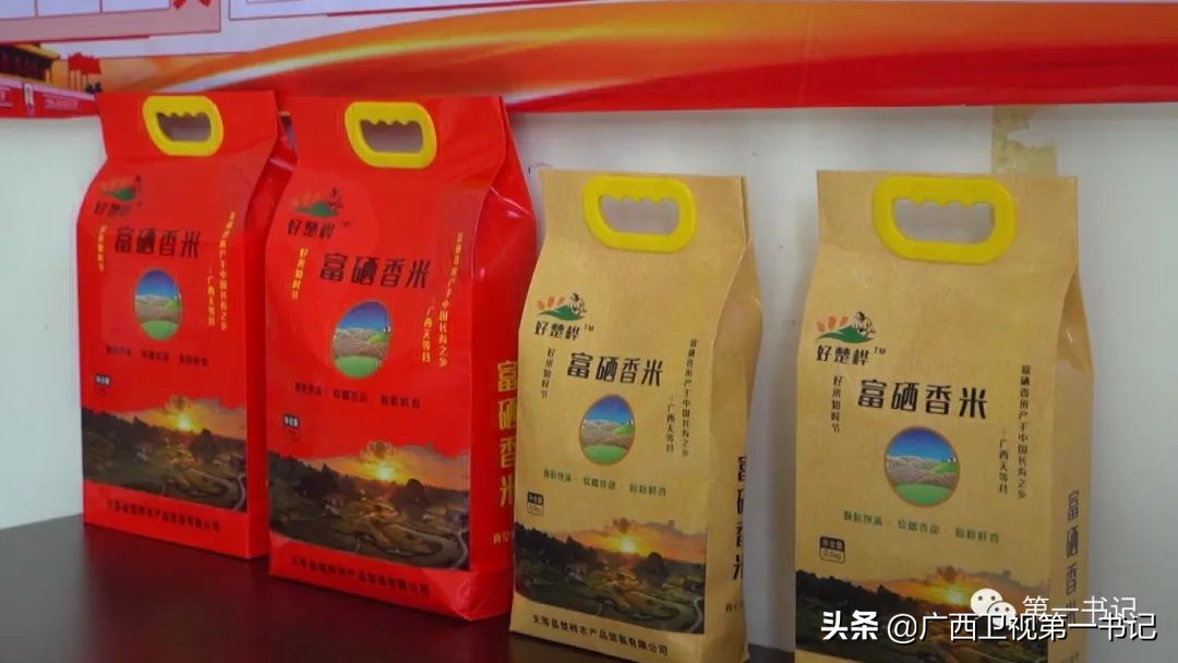 广西天等指天椒出名,广西天等指天辣椒种植