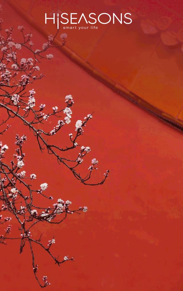 LIEBHERR利勃海尔|我们民族偏爱5000年的中国红