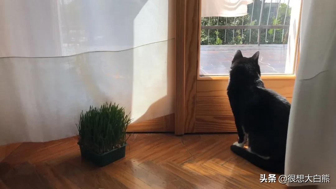 hiv初筛阳性为啥我一点症状都没有,我阳性了孩子没人照顾怎么办