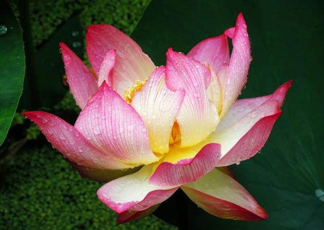 昆明周边一日游最值得去的地方,昆明周边一日游的地方推荐