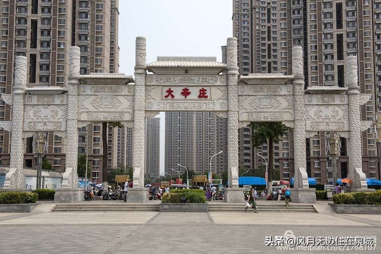 济南一颗梧桐树,济南的法国梧桐