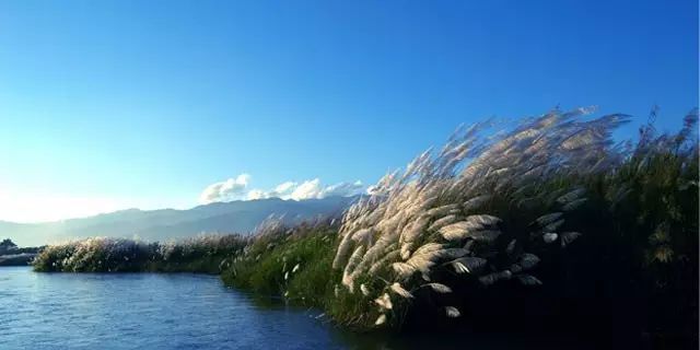 西南边境上的神秘潘多拉，比西双版纳还美，一不小心就出国