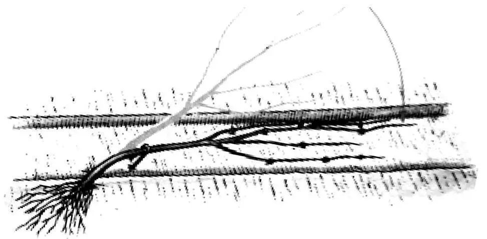 压条属于根繁殖还是茎繁殖,压条繁殖包括哪三种方式