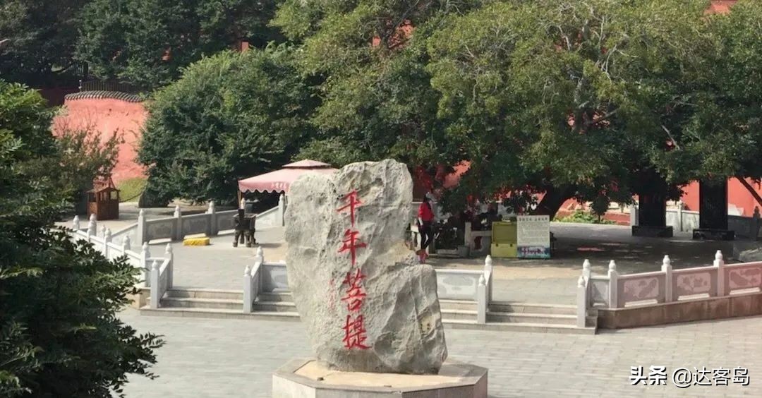 辽宁葫芦岛市第一大镇,葫芦岛建市30年对比照片