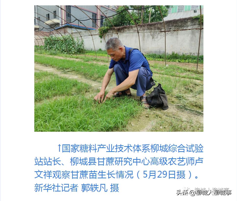 「绩效来了」宣传部、*战统**部、政法委、公安局、法院、检察院工作亮点来了