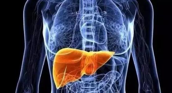 男人没xing趣？只需两招让男人“性”致勃勃