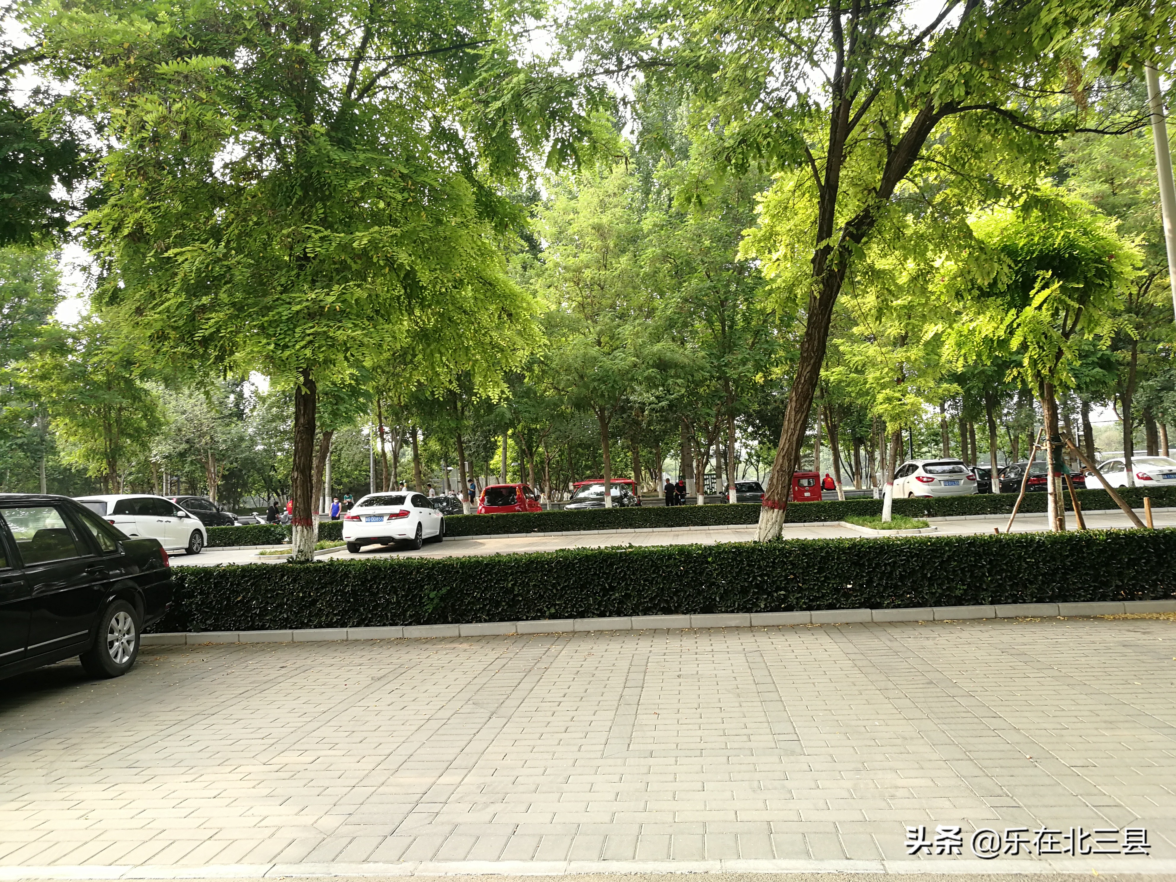 三台北坝核酸检测点,大厂五环公园核酸检测点电话