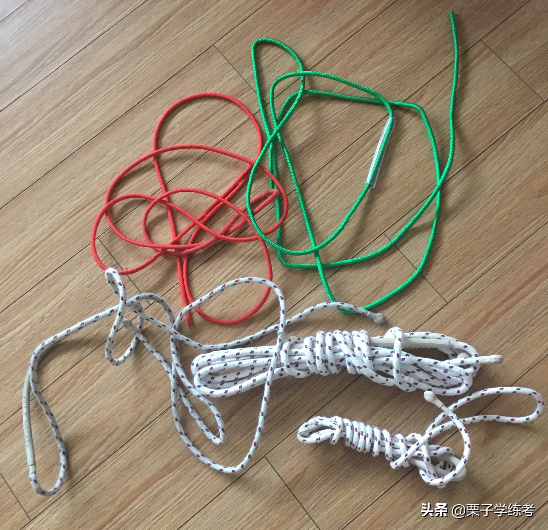 小学体育教学跳绳的教案,小学体育跳绳教法与学法