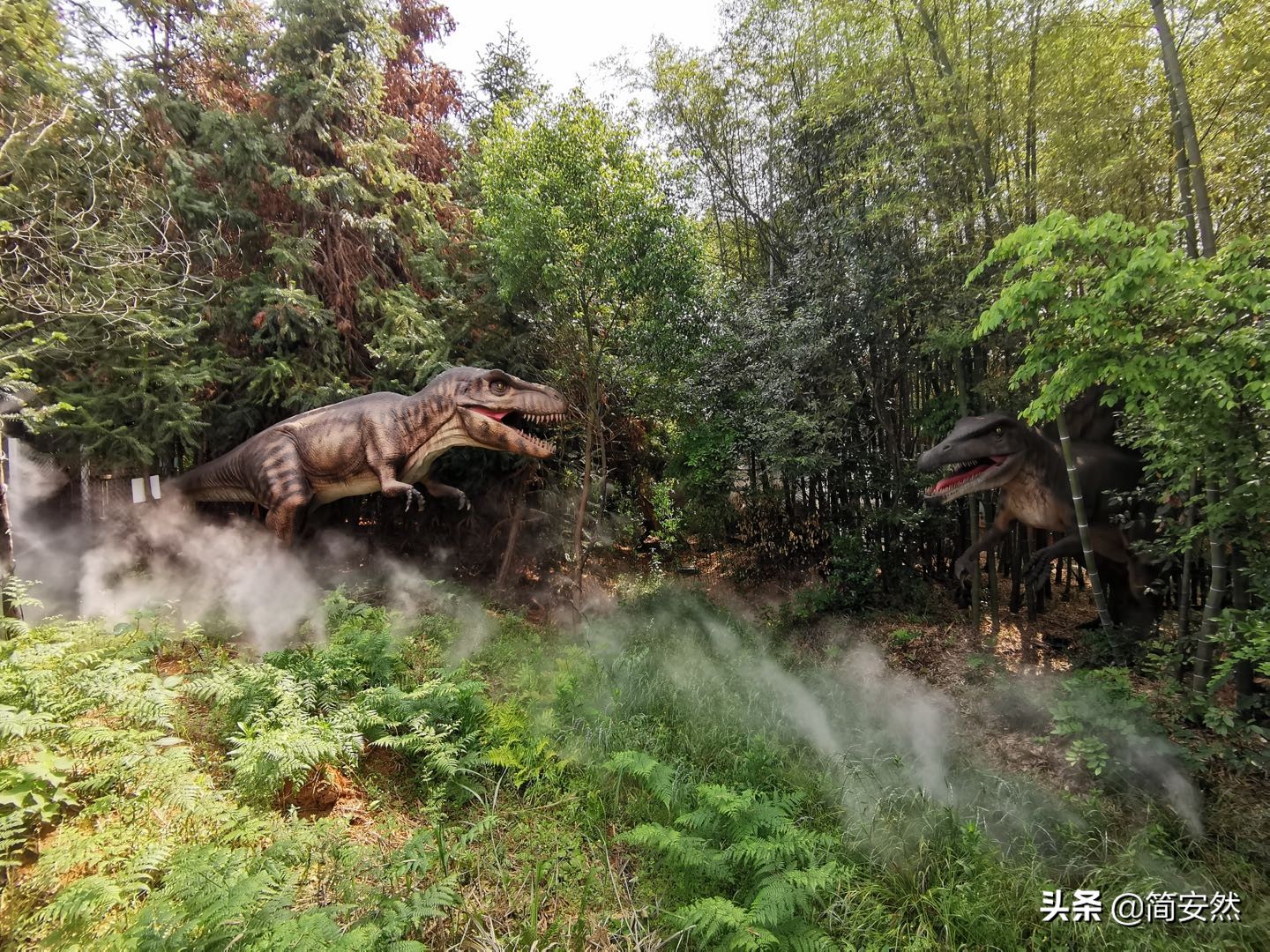 松鼠部落自驾游,松鼠部落一日游