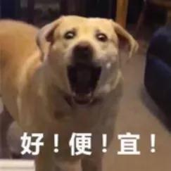 年货省心节,鄂尔多斯农产品年货节