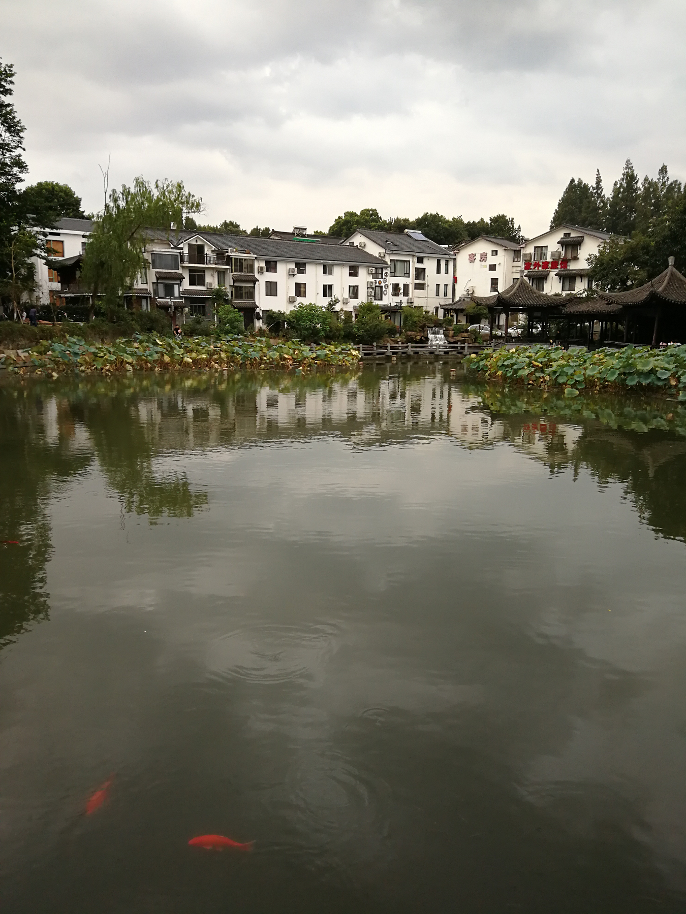 青芝坞民宿离西湖有多远,杭州青芝坞民宿排名榜