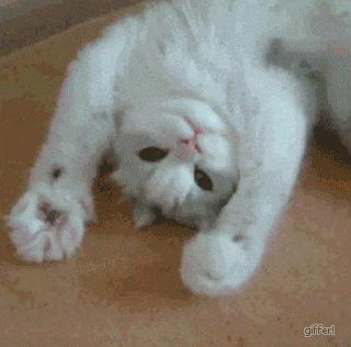 在深莞交界的光明，这位“伯伯”让早产宝宝的救治成功...