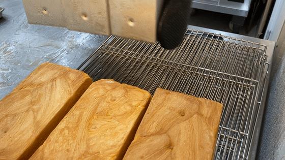 断货吐司王免费送!零下十几度也爆满的爸爸糖来中街大悦城了