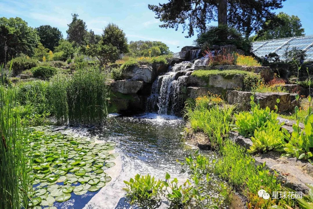 二木带你游花园|邱园（kewgarden）离我们到底有多远？