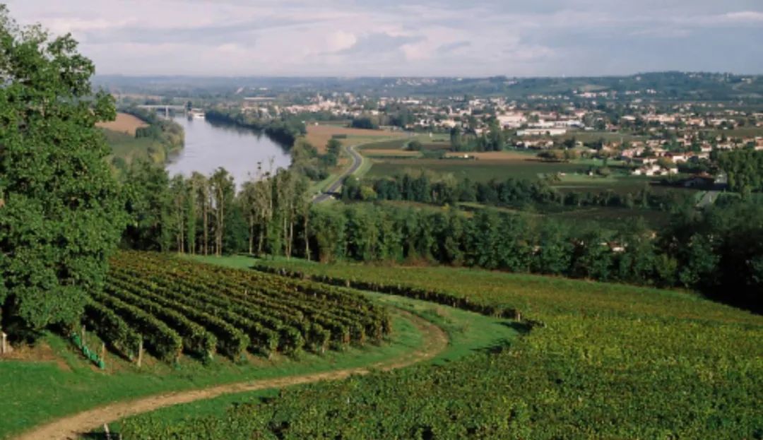 喝红酒为什么那么难,喝红酒为什么不倒满