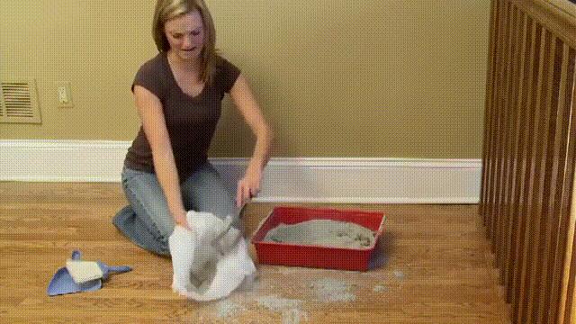 猫咪乱拉臭臭怎么办,猫咪乱拉用什么除味道