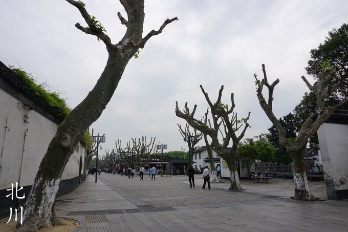 苏州美食之旅最全攻略,寻味江南一日游
